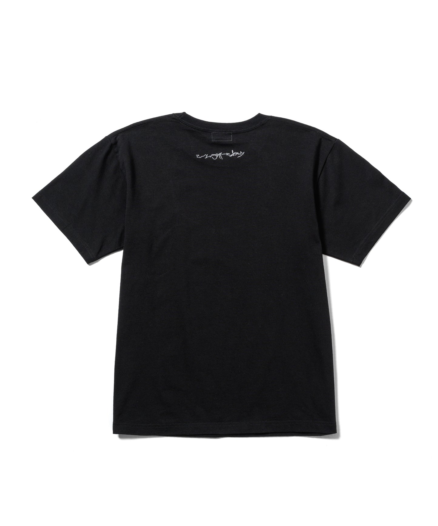 Alp works Tee