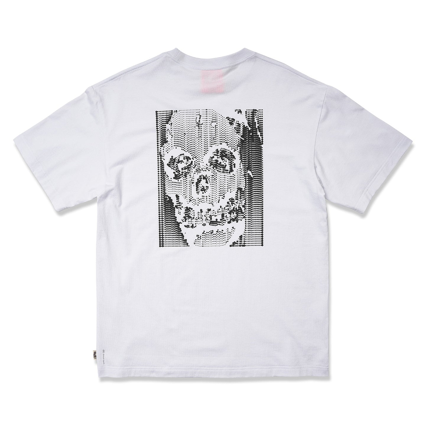 WH T002 _ I HAVE A SKULL