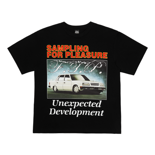 SAMPLING FOR PLEASURE