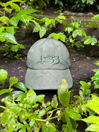 PRE CURVE BRIM 6 PANEL CAP (4:33) OLIVE(OLIVE EMB)