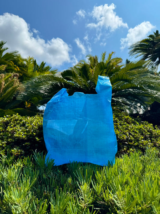 MARKET TOTE / Dyneema Composite Fabric (BLUE)