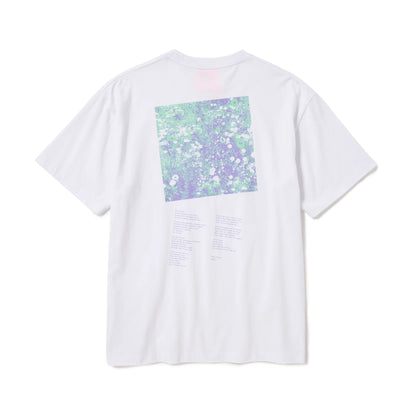 Wild Flower (WHITE)