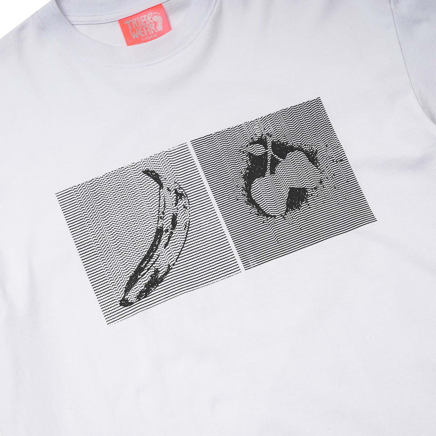 WH T003 _ Strange Fruit